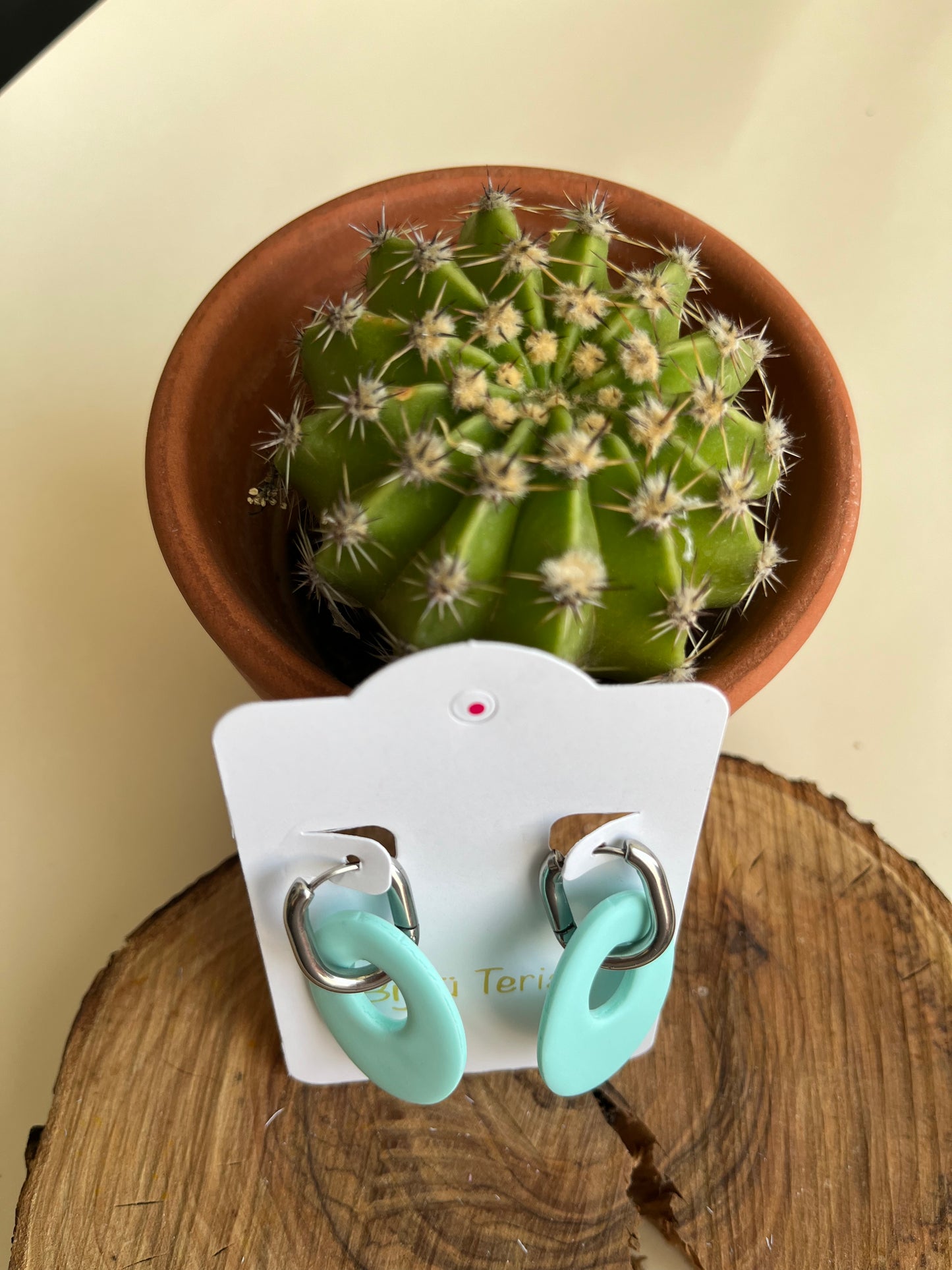 Pendientes Charm Menta